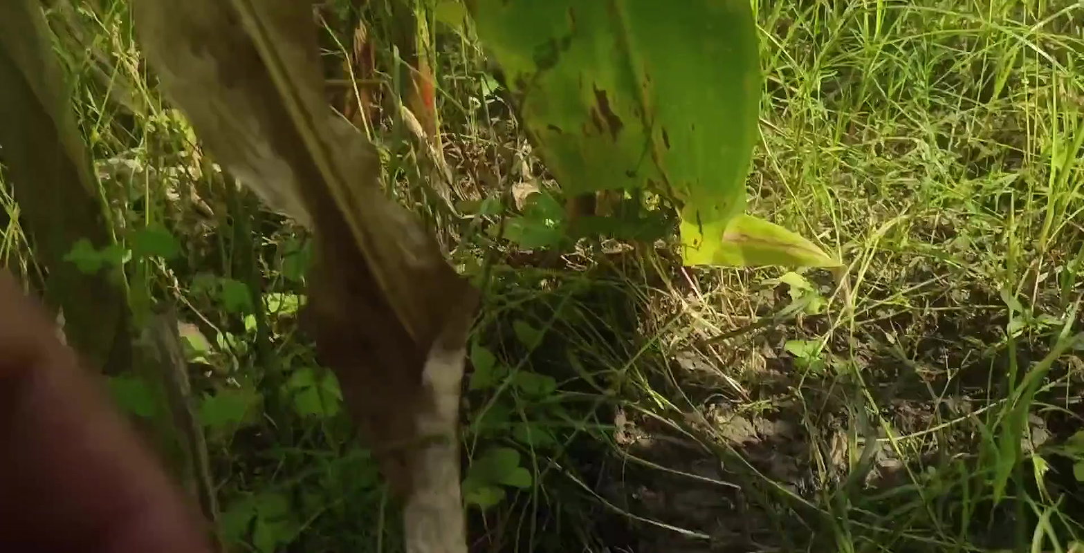 Makkah Ki Keath pe Pados ki Bhabhi ko choda husband kam gai hai Muslim bhabhi