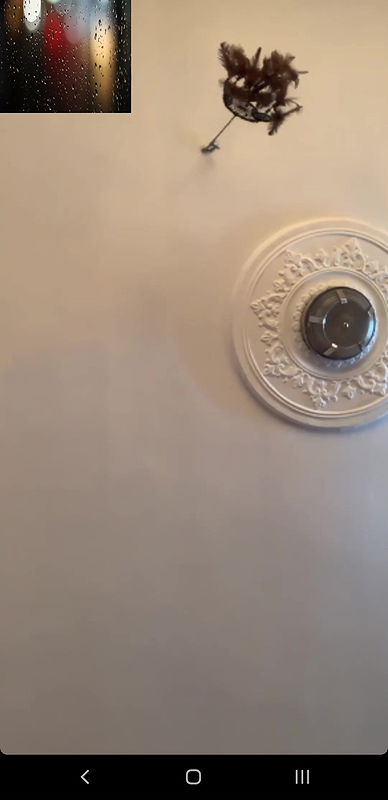 Sexy Indian Girl Shows Her Boobs To Lover