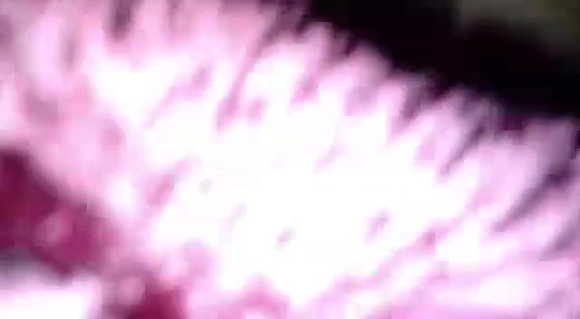 Desi Couple Fucking With Audio