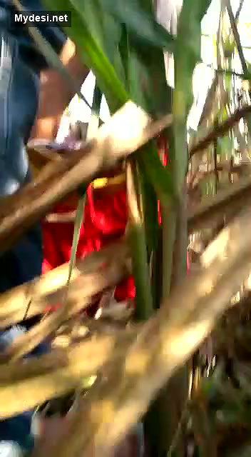 Desi cute girl show her sexy boobs outdoor