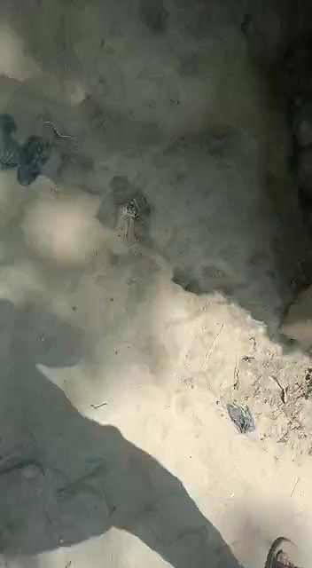 Village girl fucking caught on hidden sex cam