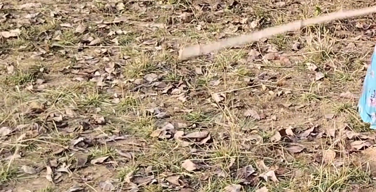 Hot Desi Sexy Bhabhi Girl shows sexy boobs by doing bath show in outdoor, also roams in forest