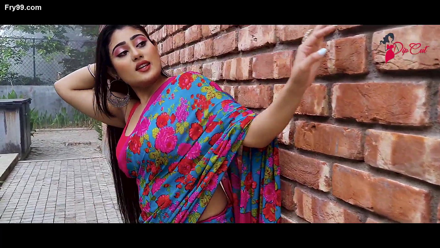 SNEHA SAREE FASHION VIDEO OUTDOOR SAREE VIDEO Silk Saree Review Dipcut