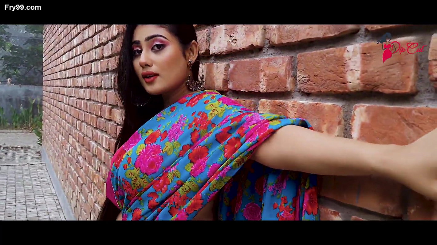 SNEHA SAREE FASHION VIDEO OUTDOOR SAREE VIDEO Silk Saree Review Dipcut
