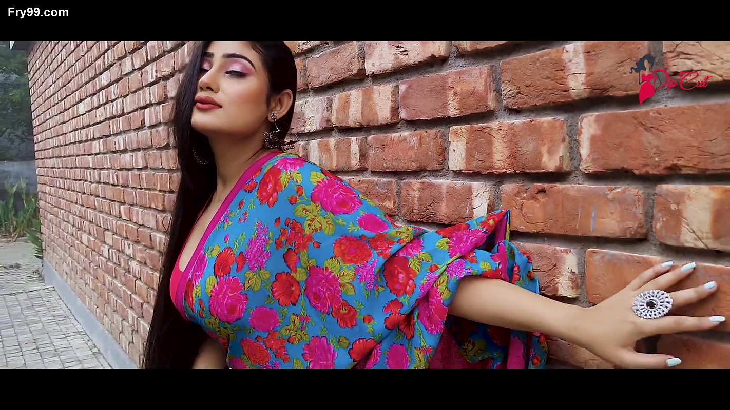 SNEHA SAREE FASHION VIDEO OUTDOOR SAREE VIDEO Silk Saree Review Dipcut