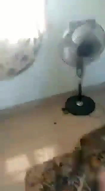 Tamil Aunty Fucked Lover