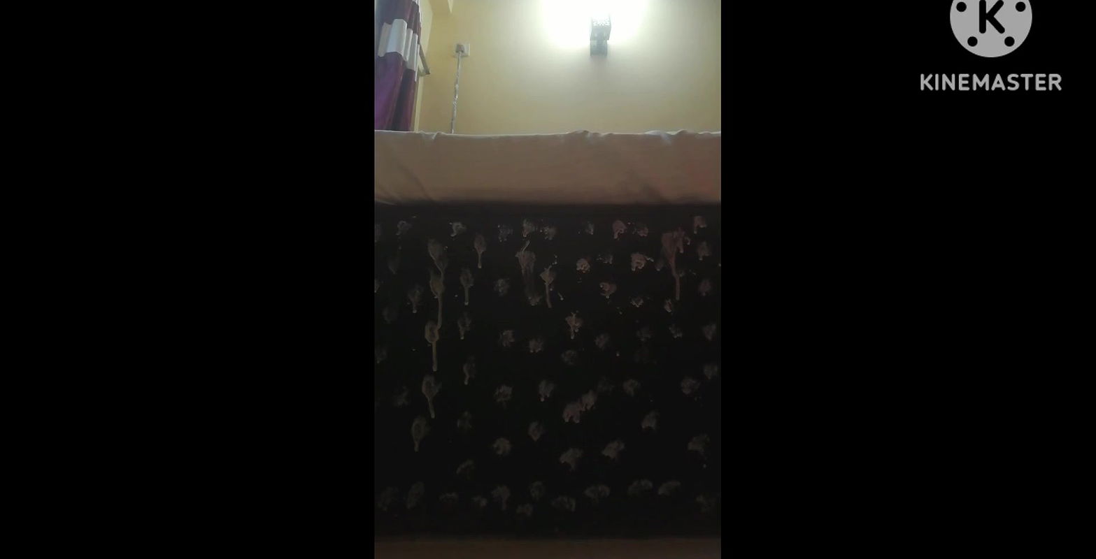 King style sex in oyo Hotel room