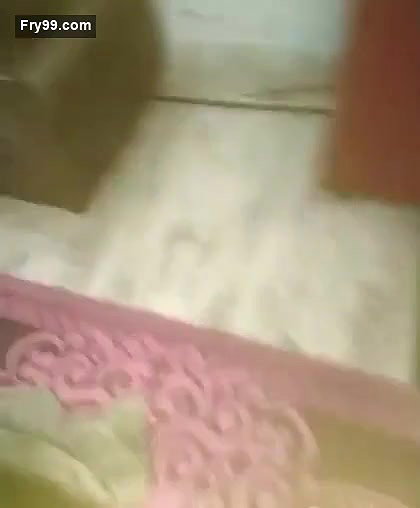 Desi Pregnent Wife Giving Handjob to Hubby