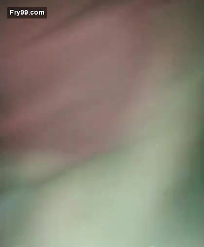 Desi Pregnent Wife Giving Handjob to Hubby