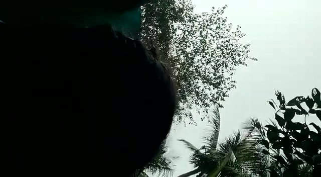 Lover Kissing Boob Sucking in The Park