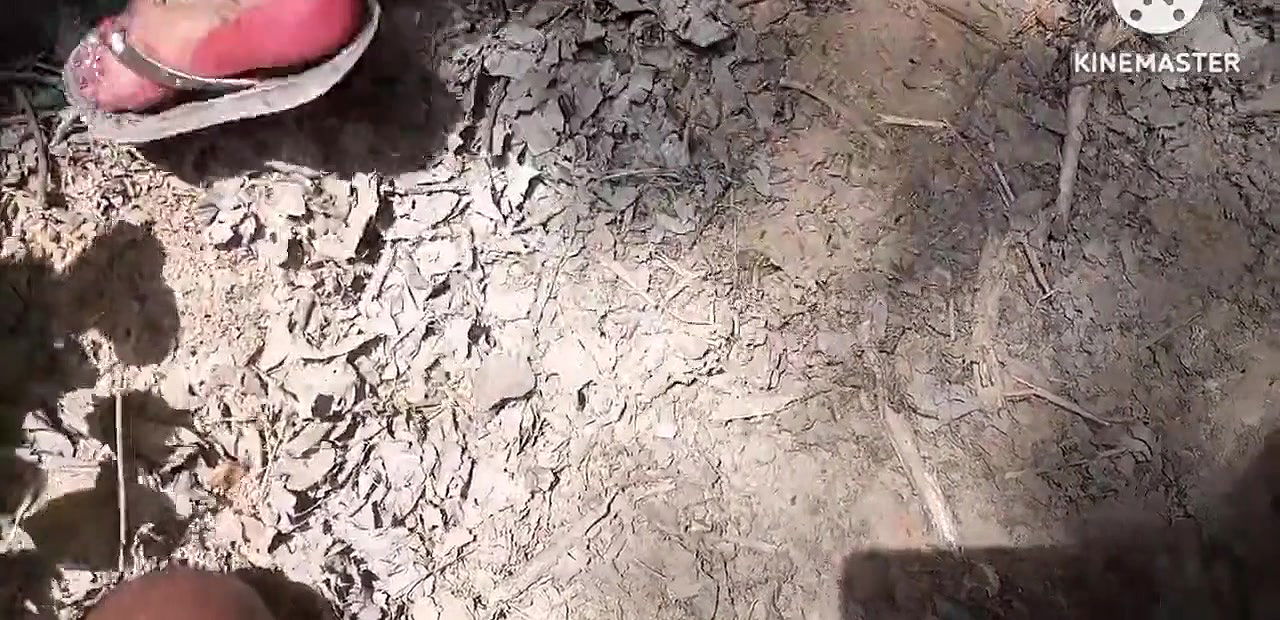 Indian hot bhabi Fucking Hard in New Doggy Style with hinde