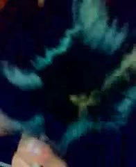 Teen GF nude Boobs press and blowjob