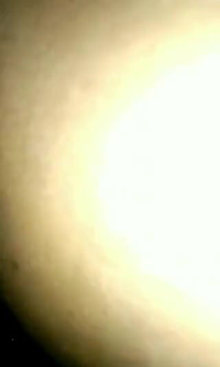 Big Ass House Wife Doggy Sex