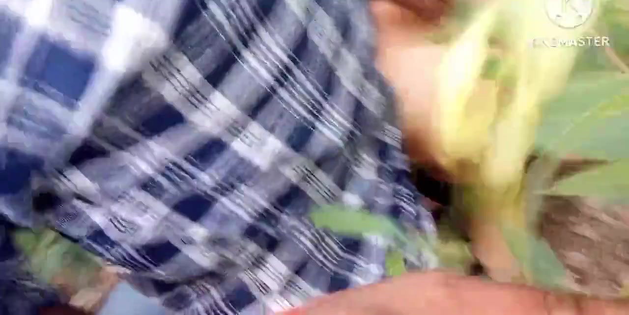 Indian teen sali fucked by jungle jija