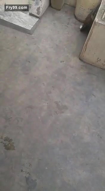 Couple caught fucking