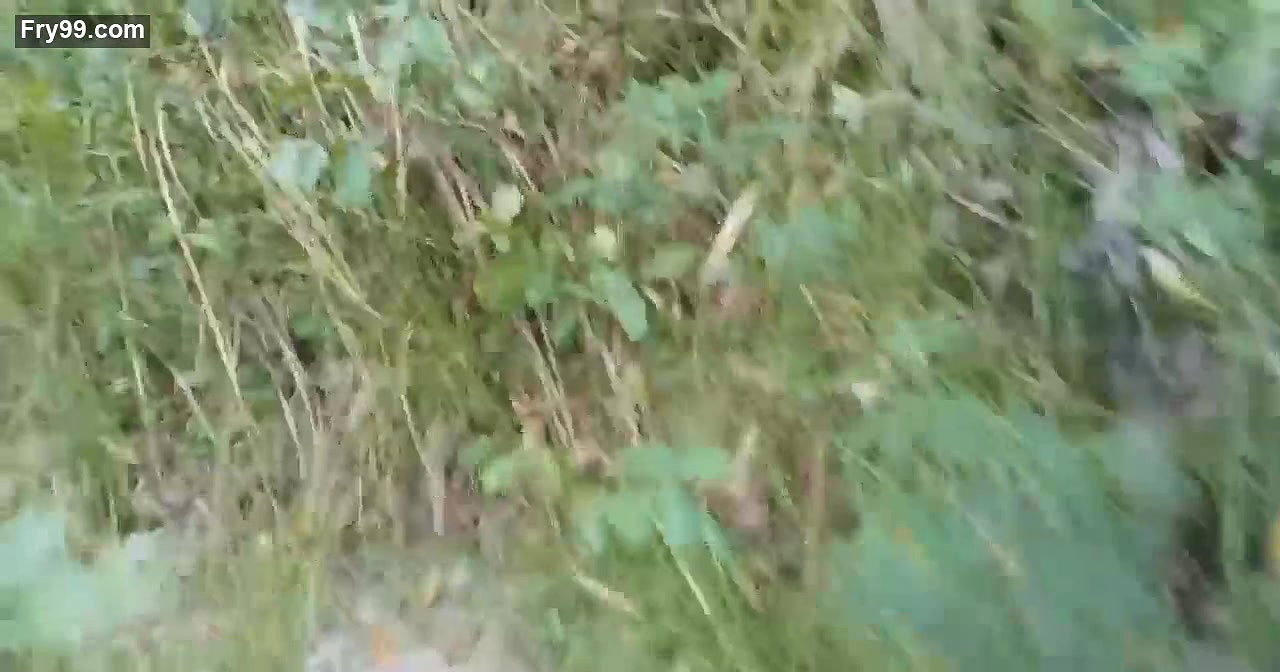 Horny Couple Fuck in the Middle of the Forest & Cum inside her Pussy