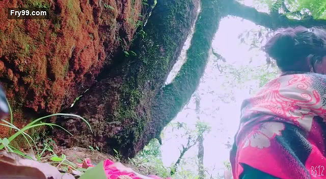 Desi village wife fucking outdoor