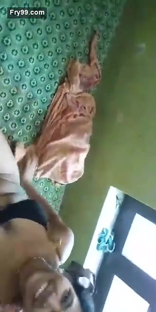 Shy gf exposed after fucking