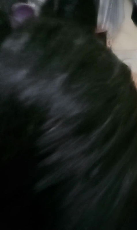 Fuck stepsister and old uncle in indian deshi stylish hot boobs tit clot ,hot sexy stepsister