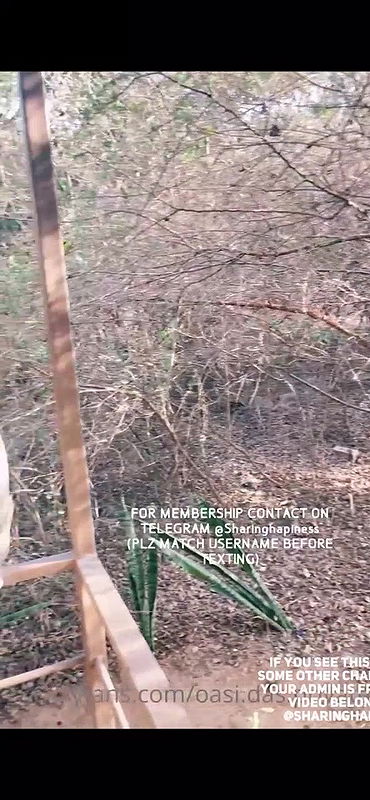 Oasi topless in public