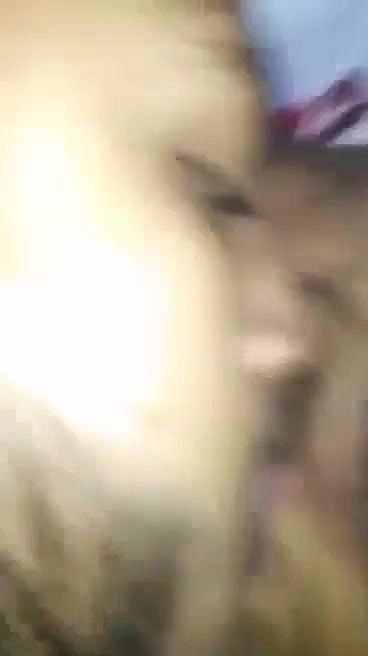 Bangla Bhabhi Pussy Licking