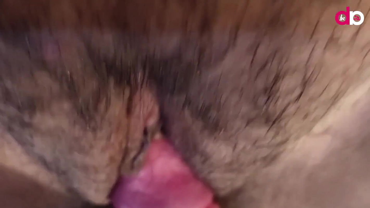 Indian Girlfriend Boyfriend Very Romantic And Hot Sex Viral video