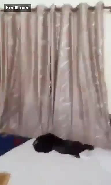 Beautiful Wife Sradha Bhabhi – Movies
