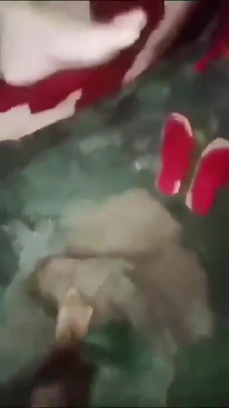 Sexy Bhabi Fucking