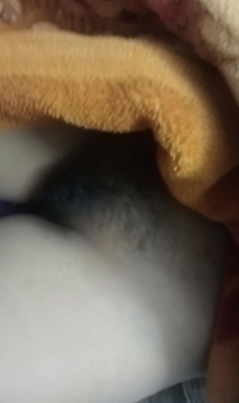 Girlfriend pussy licking