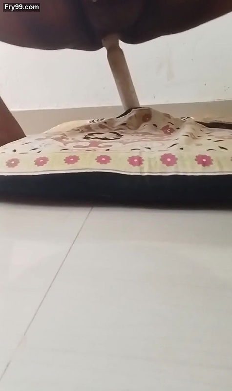 Lady property in used video