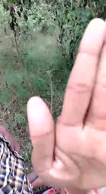 Desi girl oral sex outdoor