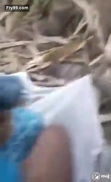 Bengali GF Fucking Outdoor wid BF