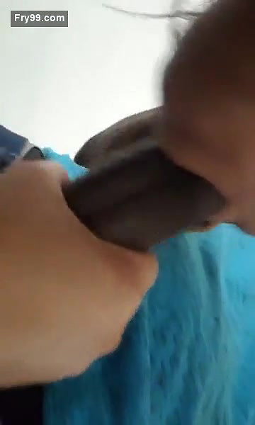 Beautiful sucker