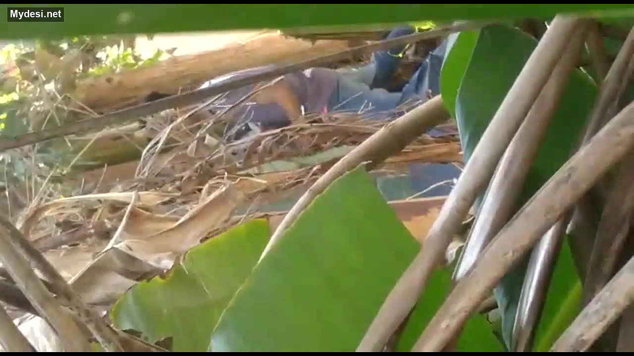 Desi sex scandal mms