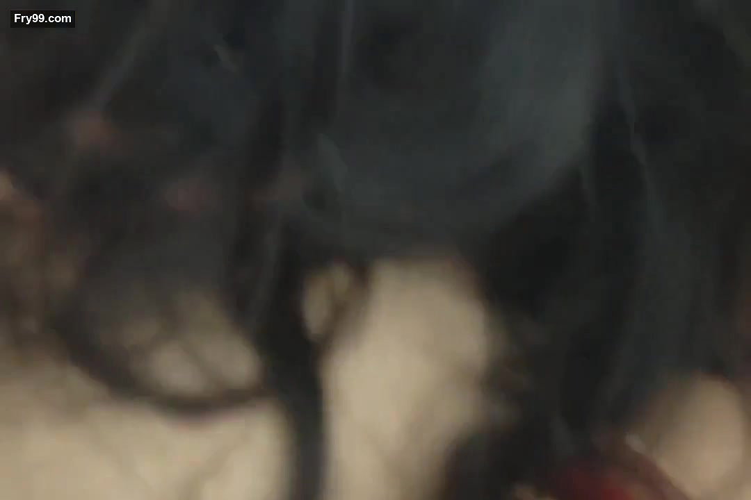 Beautiful sucker