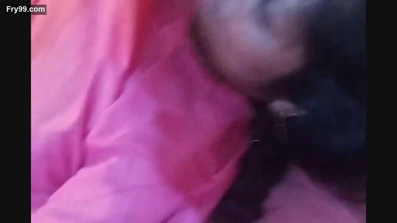 Village Couple Private MMS Leak