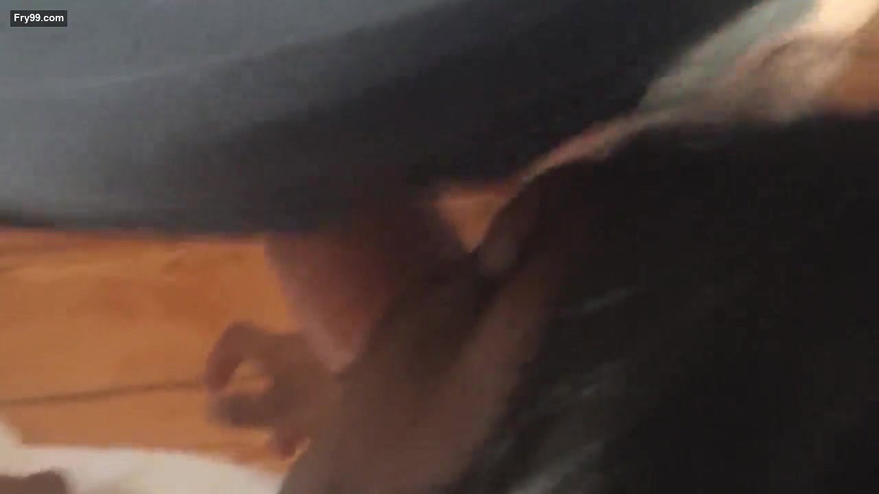 Fucking My Wife Mouth – Movies
