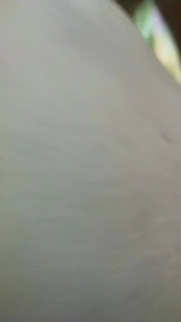Sanjana Sing