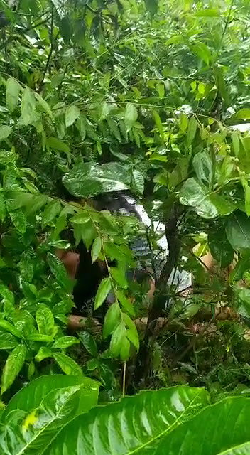 mymr lover fucking outdoor