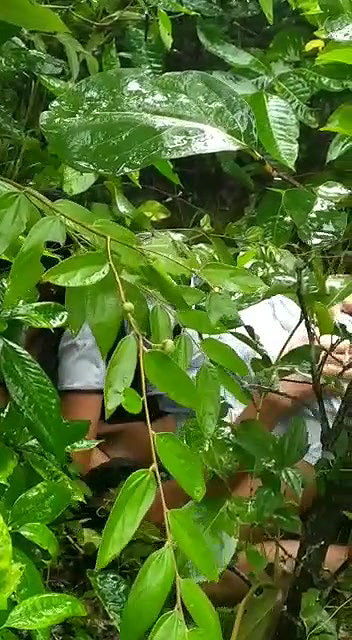 mymr lover fucking outdoor