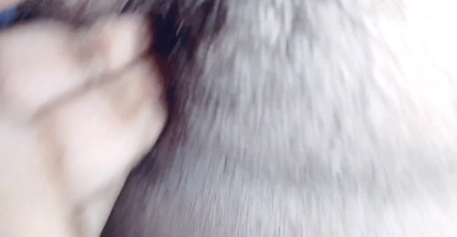 Deshi girls ki chadai Indian maid Hindi audio