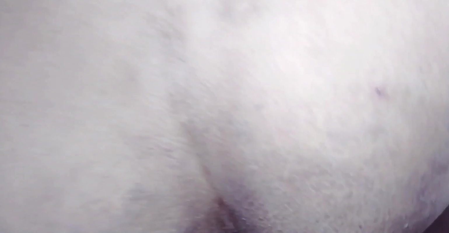 Desi Indian Hot Couple Homemade Sex Video hindi clear audio