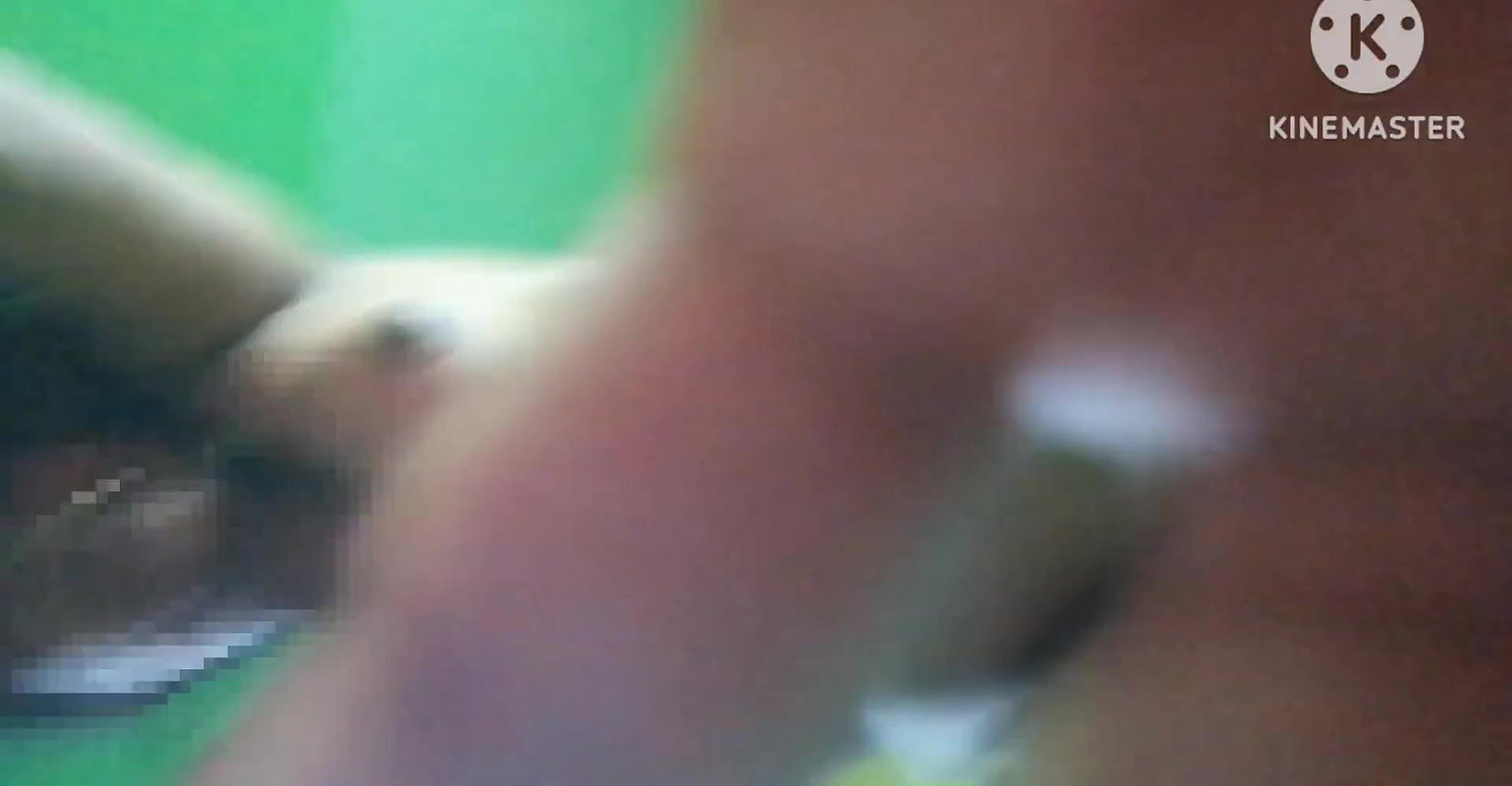 Local home made sex Desi sex romantic home made food big ass big local sex boyfriend girlfriend sex morning sex Indian girl sex