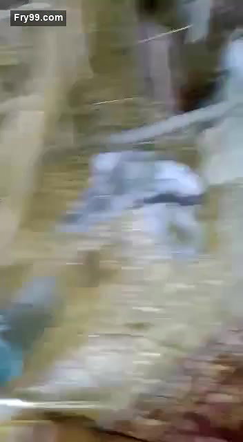 Desi Village Lover Blowjob and Fucking 8 Clips Marged