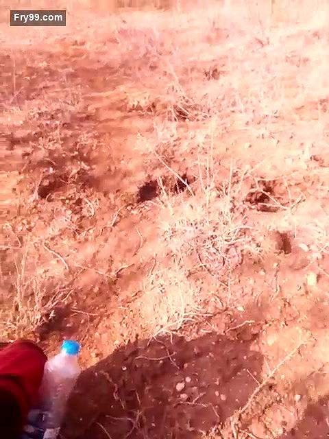 big boobs village randi