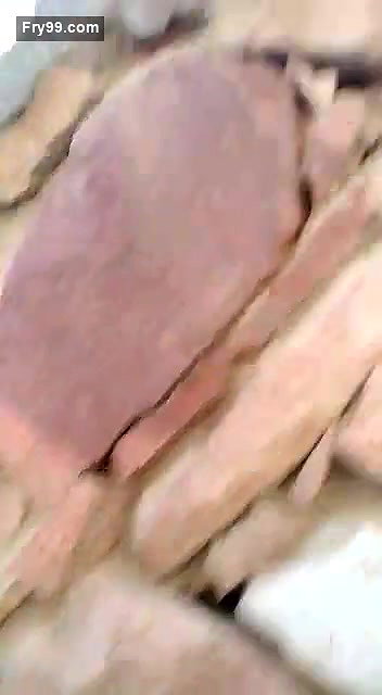 Desi Lover OutDoor Fucking Caught