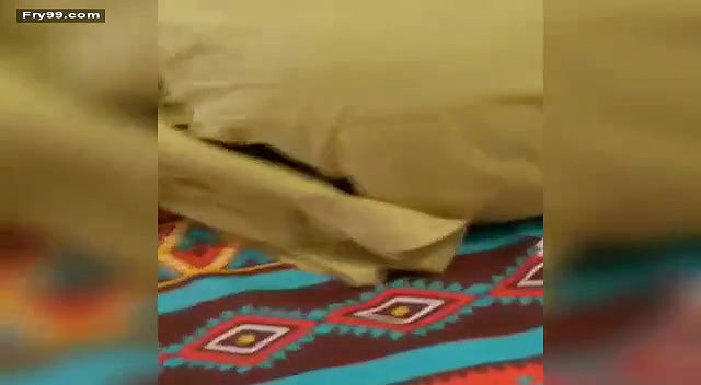Doctor nurse fucking full leaked new