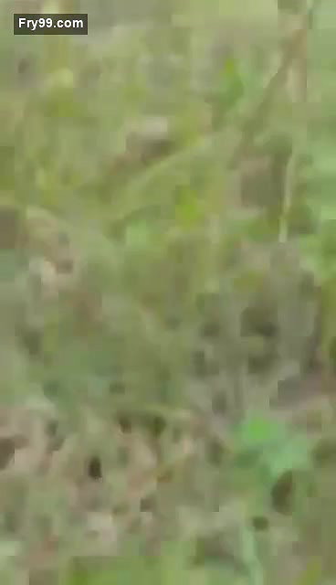 Beautiful Village Girl outdoor fucking