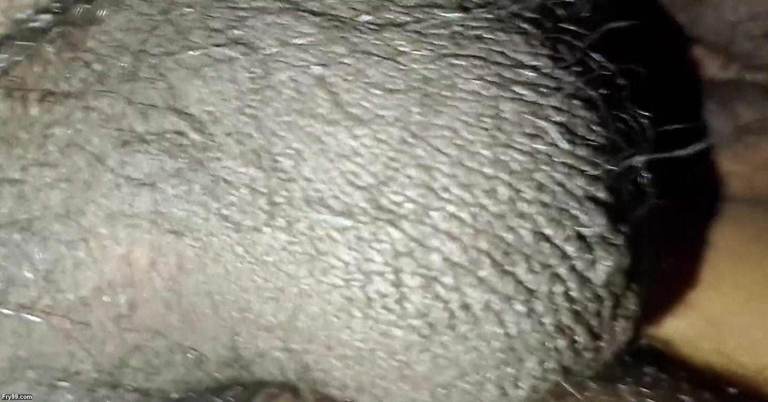 Viral video of beautiful girl sex video part2