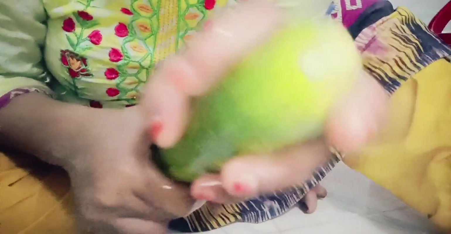 Bangladeshi hot girl sex with cucumber.Bengali housewife.